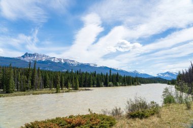 Jasper Ulusal Parkı yaz manzarası. Athabasca Nehri Tekarra Dağı 'ndan akar. Alberta, Kanada. Kanada Kayalıkları.