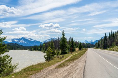 Jasper Ulusal Parkı, Alberta, Kanada 'da buzul tarlaları (Alberta Otoyolu 93). Kanada Kayalıkları yaz manzarası. Arka planda Kerkeslin Dağı ve Hardisty Dağı.