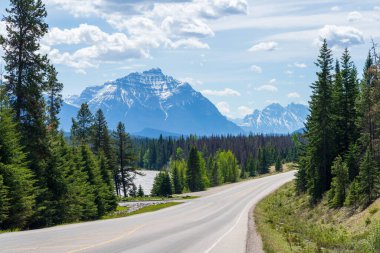 Jasper Ulusal Parkı, Alberta, Kanada 'da buzul tarlaları (Alberta Otoyolu 93). Kanada Kayalıkları yaz manzarası. Arka planda Kerkeslin Dağı.