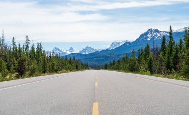 Jasper Ulusal Parkı, Alberta, Kanada 'da buzul tarlaları (Alberta Otoyolu 93). Kanada Kayalıkları yaz manzarası.