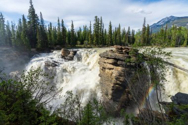 Jasper Ulusal Parkı 'ndaki Athabasca Şelalesi, Alberta, Kanada. Kanada Kayalıkları yaz manzarası.