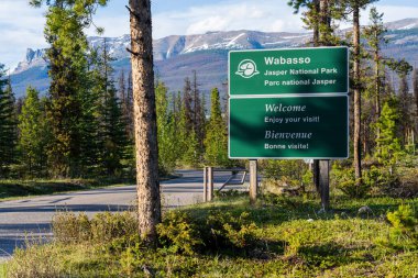 Jasper Ulusal Parkı 'ndaki Wabasso Kamp Alanı' nın yol işareti. Jasper, Alberta, Kanada.
