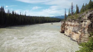 Athabasca nehri, Athabasca Şelalesi yakınlarında. Jasper Ulusal Parkı, Alberta, Kanada. Kanada Kayalıkları yaz manzarası.