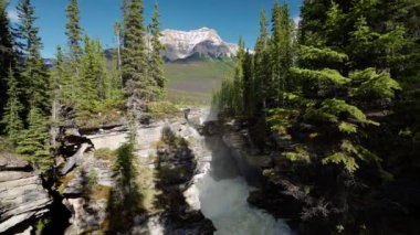 Jasper Ulusal Parkı 'ndaki Athabasca Şelalesi, Alberta, Kanada. Kanada Kayalıkları yaz manzarası. Arka planda Kerkeslin Dağı.