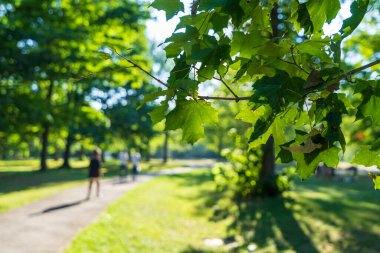 Yazın Angrignon Park 'ta koşan insanlar. Montreal, Quebec, Kanada.