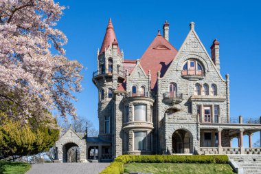 Craigdarroch Kalesi 'nin dış tarafında bahar mevsiminde kiraz çiçekleri açar. Victoria, BC, Kanada.