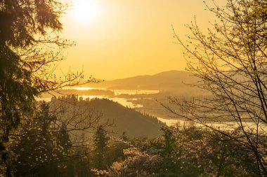 Gün batımında Burnaby Dağı Parkı. Burrard Körfezi 'nin üst kollarına bakıyor. İlkbaharda çiçek açan kiraz çiçekleri. Burnaby, BC, Kanada.
