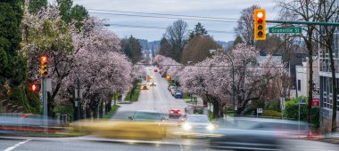 Vancouver, Kanada - MAR 20 2021: Vancouver City kiraz çiçeği mevsiminde. Granville Caddesi ve Batı 16. Cadde, bahar zamanı..