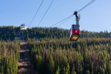 Jasper, Alberta, Kanada - 21 Mayıs 2021: Jasper SkyTram hava yolu karla kaplı Rocky Dağları 'na yükseliyor.