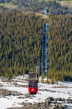 Jasper, Alberta, Kanada - 21 Mayıs 2021: Jasper SkyTram hava yolu karla kaplı Rocky Dağları 'na yükseliyor.