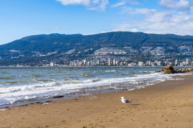 Üçüncü plaj, Stanley Park Seawall. Arka planda West Vancouver şehir manzarası var. British Columbia, Kanada.