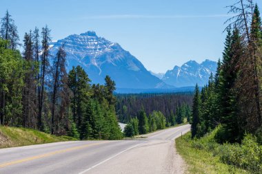 Icefields Parkway (Alberta Otoyolu 93), Jasper National Park Scenic Drive. Kanada Kayalıkları yaz manzarası. Kerkeslin Dağı.