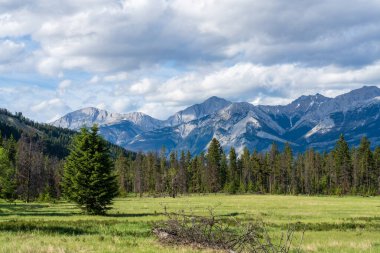 Jasper Ulusal Parkı 'nda Görkemli Dağ Manzarası, Alberta, Kanada. Kanada Kayalıklarında Nefes Kesen Manzara