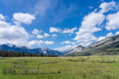Jasper Ulusal Parkı 'nda Görkemli Dağ Manzarası, Alberta, Kanada. Kanada Kayalıklarında Nefes Kesen Manzara