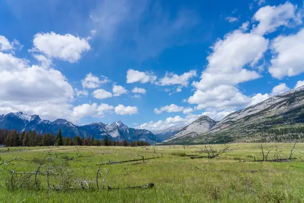 Jasper Ulusal Parkı 'nda Görkemli Dağ Manzarası, Alberta, Kanada. Kanada Kayalıklarında Nefes Kesen Manzara
