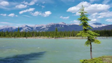 Athabasca Nehri Jasper Ulusal Parkı 'ndan akıyor, Alberta, Kanada. Kanada Kayalıklarında Nefes Kesen Manzara