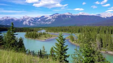 Athabasca Nehri Jasper Ulusal Parkı 'ndan akıyor, Alberta, Kanada. Kanada Kayalıklarında Nefes Kesen Manzara