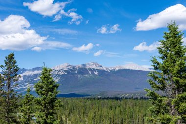 Mount Roche Bonhomme, Jasper Ulusal Parkı, Canadian Rockies. Alberta, Kanada. Bu tepe aynı zamanda İhtiyar Suratlı Dağ olarak da bilinir.