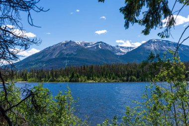 Yaz manzaralı Cabin Gölü, Jasper Ulusal Parkı, Alberta, Kanada.
