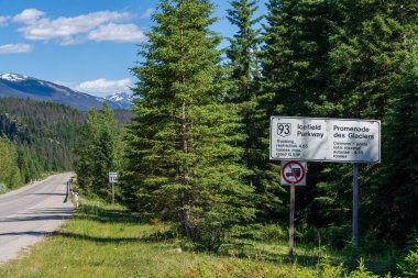 Jasper, Alberta, Kanada - 25 Haziran 2021: Icefields Parkway (Alberta Otoyolu 93), Jasper National Park Scenic Drive. Arka planda Kanada Kayalıkları yaz manzarası.