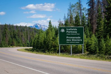Jasper, Alberta, Kanada - 25 Haziran 2021: Icefields Parkway (Alberta Otoyolu 93), Jasper National Park Scenic Drive. Arka planda Kanada Kayalıkları yaz manzarası.