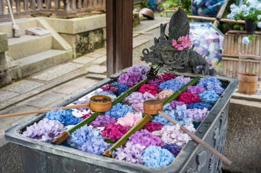 Kyoto, Japonya - 26 Haziran 2025: Ejderha eli su havzası Yanagidani Kannon Yokoku-ji Tapınağı çeşmesinde yüzüyor.