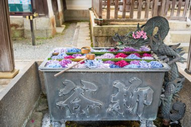 Kyoto, Japonya - 26 Haziran 2025: Ejderha eli su havzası Yanagidani Kannon Yokoku-ji Tapınağı çeşmesinde yüzüyor.