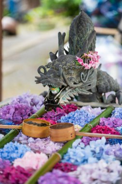 Kyoto, Japonya - 26 Haziran 2025: Ejderha eli su havzası Yanagidani Kannon Yokoku-ji Tapınağı çeşmesinde yüzüyor.