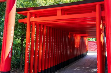 Inuyama, Aichi, Japonya - 22 Temmuz 2024: Inuyama Kalesi 'ne giden ünlü bir yol olan Sanko Inari Tapınağı' nın canlı kırmızı torii kapıları tüneli.
