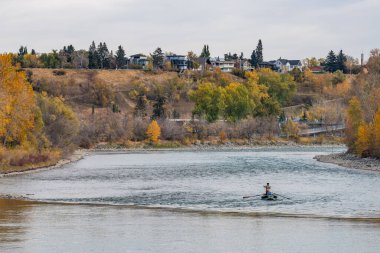 Princes Island Park sonbahar yeşillik manzarası. Nehir kıyısında, Calgary şehir merkezinde, Alberta, Kanada.