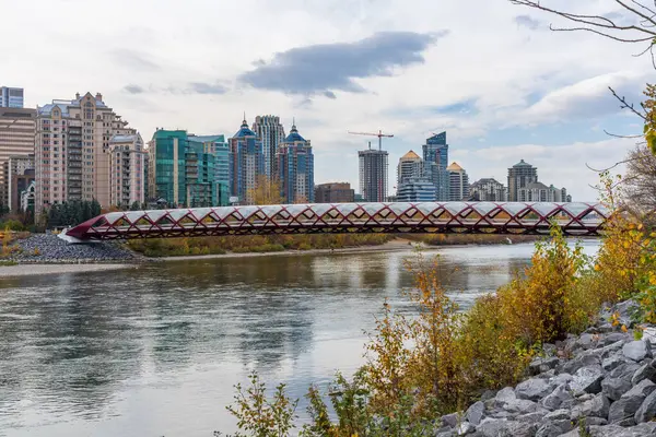 Princes Adası Barış Köprüsü. Calgary Bow nehir kıyısında sonbahar yeşillik manzarası, Alberta, Kanada.
