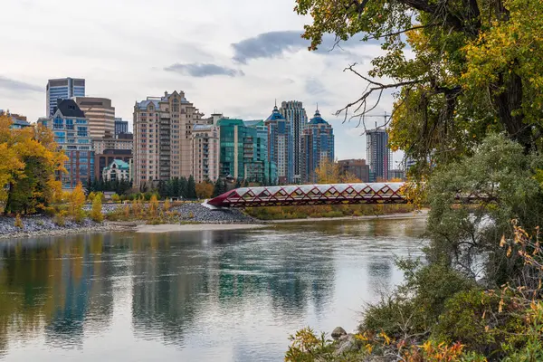 Princes Adası Barış Köprüsü. Calgary Bow nehir kıyısında sonbahar yeşillik manzarası, Alberta, Kanada.