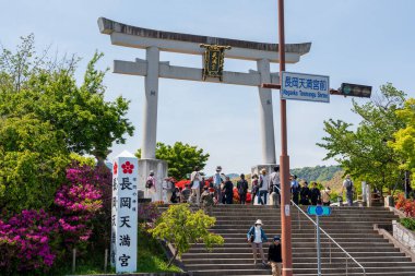 Nagaokakyo, Kyoto, Japonya - 27 Nisan 2025: Nagaoka Tenmangu Tapınağı girişi açık mavi gökyüzü altında açan mor açelyalar.