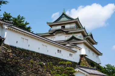 Japonya 'nın en iyi 100 kalesinden biri olan Wakayama Kalesi' nin manzarası güneşli bir yaz gününde açık mavi gökyüzüne karşı duruyor..