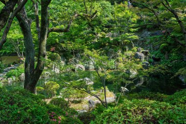 Yazın Wakayama Kalesi içinde geleneksel bir Japon bahçesi olan Momijidani Bahçesi 'nin (Nishinomaru Garden) manzarası. Wakayama Şehri, Japonya.