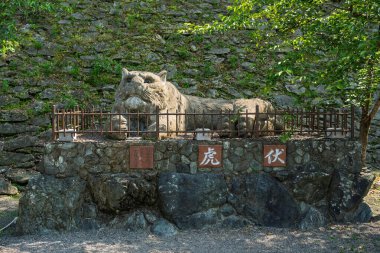 Wakayama Şehri, Japonya - Haziran 12025 Yaslanan Kaplan Heykeli, Fukko-zo. Çömelmiş bir kaplanın beton heykeli, Wakayama Kalesi 'nin sembolü..