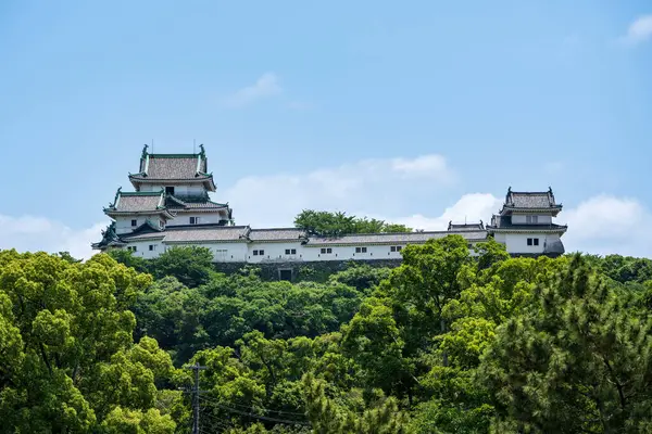 Japonya 'nın en iyi 100 kalesinden biri olan Wakayama Kalesi' nin manzarası güneşli bir yaz gününde açık mavi gökyüzüne karşı duruyor..