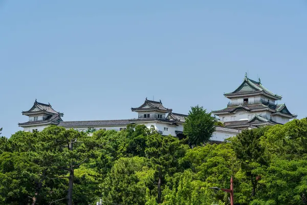 Japonya 'nın en iyi 100 kalesinden biri olan Wakayama Kalesi' nin manzarası güneşli bir yaz gününde açık mavi gökyüzüne karşı duruyor..