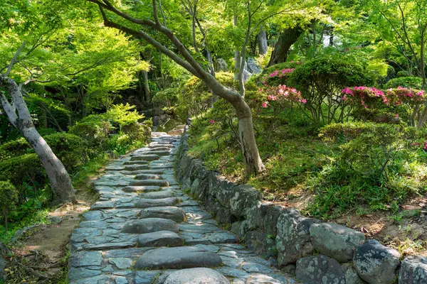 Yazın Wakayama Kalesi içinde geleneksel bir Japon bahçesi olan Momijidani Bahçesi 'nin (Nishinomaru Garden) manzarası. Wakayama Şehri, Japonya.