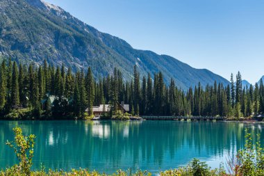 Arka planda Burgess Dağı 'nın olduğu güneşli yaz gününde Emerald Gölü. Yoho Ulusal Parkı, Kanada Kayalıkları, Britanya Kolumbiyası, Kanada.