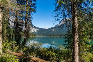 Zümrüt Gölü yaz güneşli bir gün ve arkasında dağlar var. Yoho Ulusal Parkı, Kanada Kayalıkları, Britanya Kolumbiyası, Kanada.