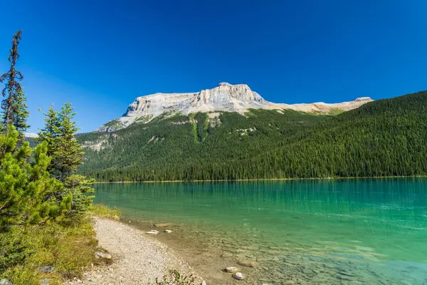 Zümrüt Gölü yazın güneşli bir gün ve arka planda Wapta Dağı var. Yoho Ulusal Parkı, Kanada Kayalıkları, Britanya Kolumbiyası, Kanada.
