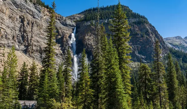 Güneşli bir yaz gününde Takakkaw Şelalesi. Kanada 'nın en uzun 2. şelalesi. Yoho Ulusal Parkı 'ndaki doğal manzara, Kanada Kayalıkları, Britanya Kolumbiyası.
