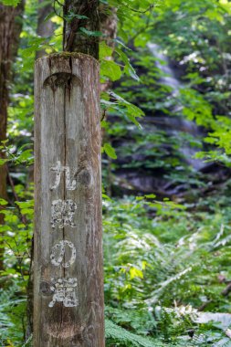 Kudan Şelalesi, Oirase Irmağı üzerinde eşsiz bir şelale, koyu kayaların üzerinde çağlayan, Japonya 'nın Aomori kentindeki bir yaya köprüsünden görülen Oirase Boğazı' nın önemli bir özelliği..