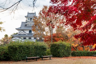 Hokoen Park, Shiga, Japonya 'daki tarihi Nagahama Kalesi' nin manzarası. Canlı, parlak kırmızı ve turuncu akçaağaç yapraklarıyla güzel çerçevelenmiş..