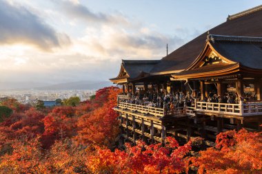 Kyoto, Japonya - 8 Aralık 2024: Kızıl sonbahar akçaağaç yaprakları denizini gün batımında Kiyomizu-dera Tapınağından fotoğraflayan bir grup turist.