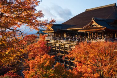 Kyoto, Japonya - 8 Aralık 2024: Kızıl sonbahar akçaağaç yaprakları denizini gün batımında Kiyomizu-dera Tapınağından fotoğraflayan bir grup turist.