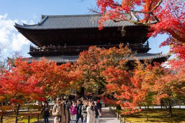 Kyoto, Japonya - 22 Kasım 2024: Nanzen-ji Tapınağı 'nın kumlu yolunda yürüyen büyük bir turist topluluğu, sonbahar akçaağaç ağaçlarının büyüleyici gölgesinin altında.
