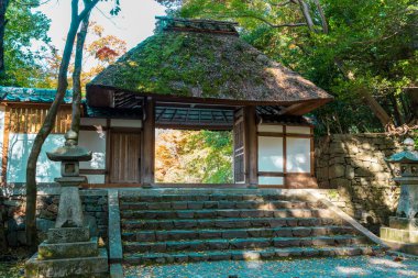 Honen-in Tapınağı 'nın sakin yosun kaplı çatı kapısı, sonbahar yapraklı sakin bir bahçe ile çevrili. Sakyo-ku, Kyoto, Japonya.