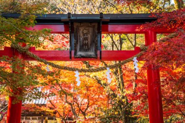 Kuwayama Tapınağı 'ndaki geleneksel bir kırmızı sonbahar akçaağaç yaprağı kapısı. Kameoka, Kyoto, Japonya. Japonca çeviri: Kuwayama Tapınağı, Dük Tokugawa Iesato.